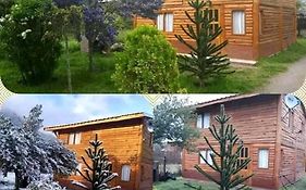 Murmullos del bosque